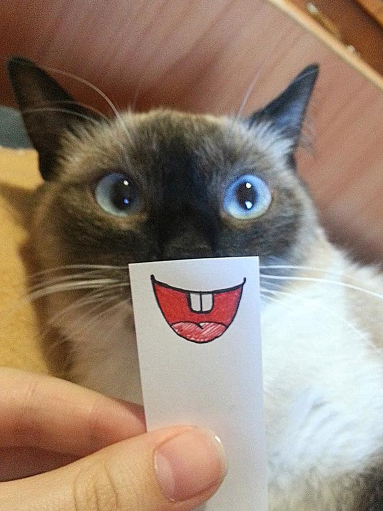 cat with cartoon mouth