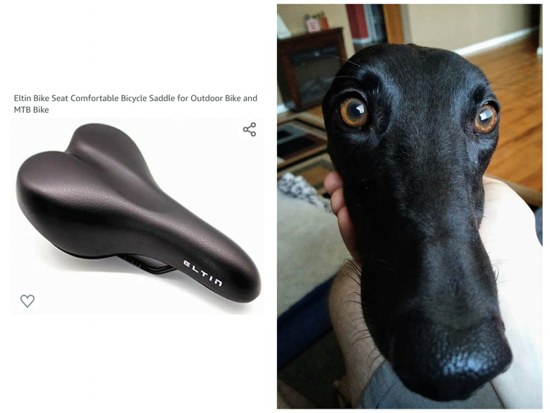 dog's nose looks like bike saddle