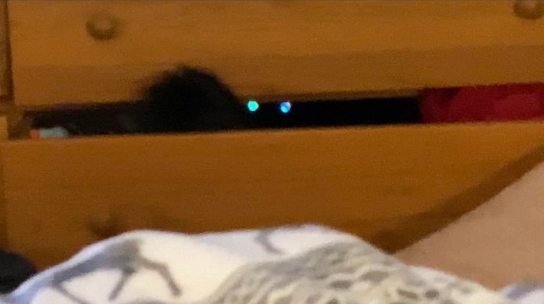 black cat hiding in drawer of chest with eyes glowing