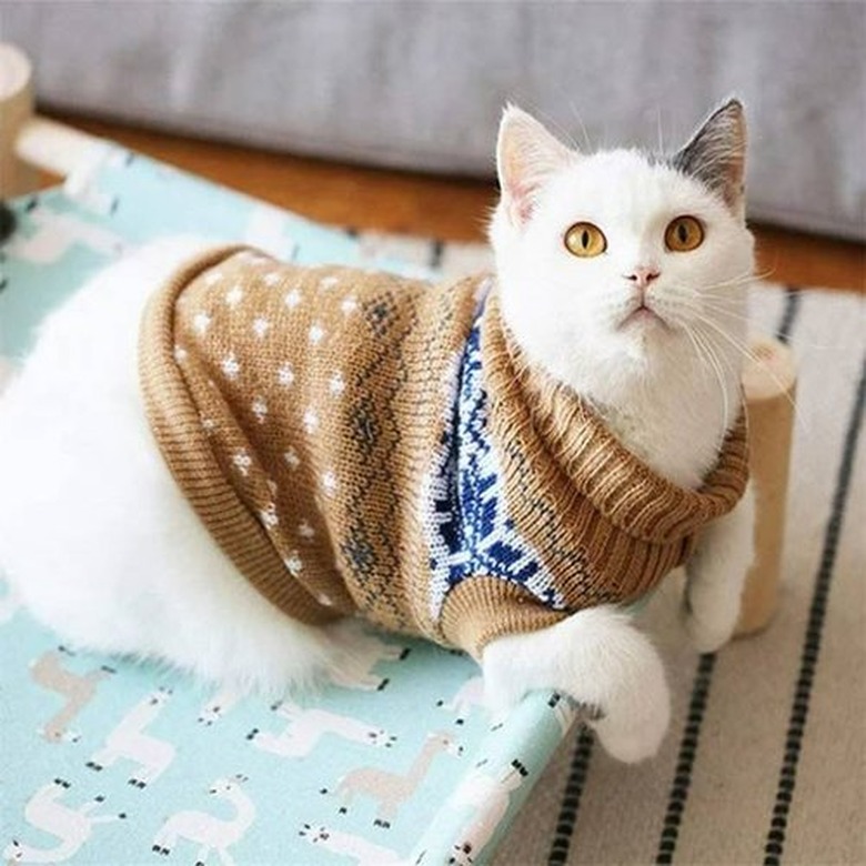 Canopy Cat Sweater