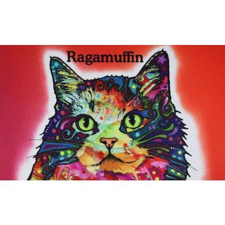 Drymate Dean Russo Ragamuffin Personalized Cat Placemat