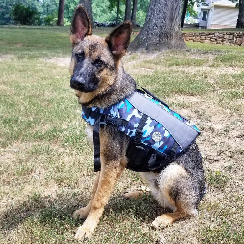 Vivaglory Dog Life Jacket