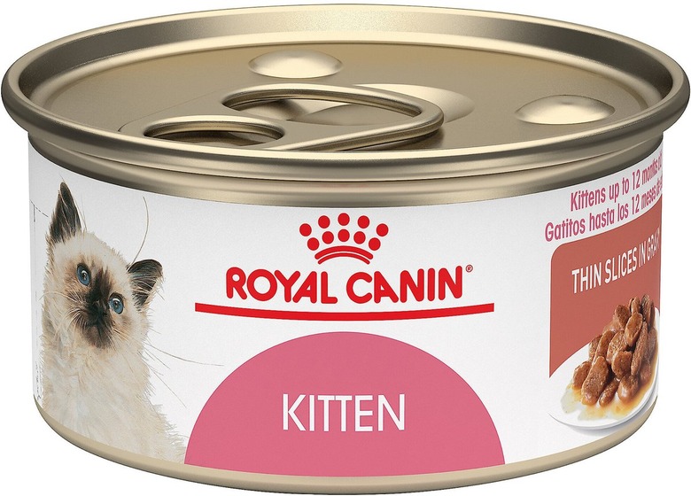 Royal Canin Feline Health Nutrition Kitten Thin Slices in Gravy Canned Cat Food, 3-oz, case of 24