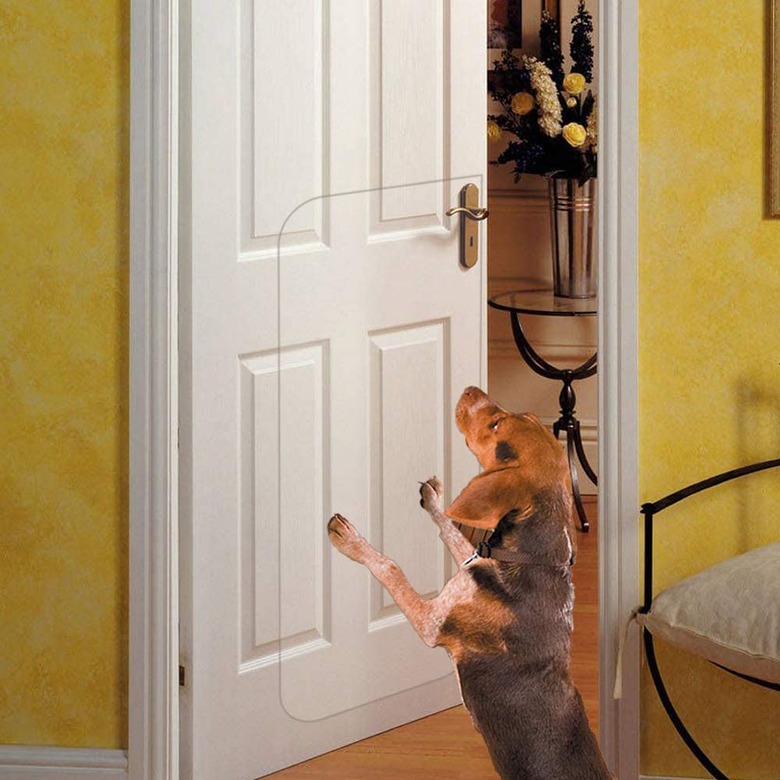 In Hand Clear Door Scratch Protector