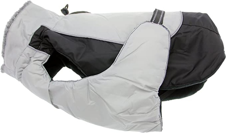 Alpine All-Weather Dog Coat