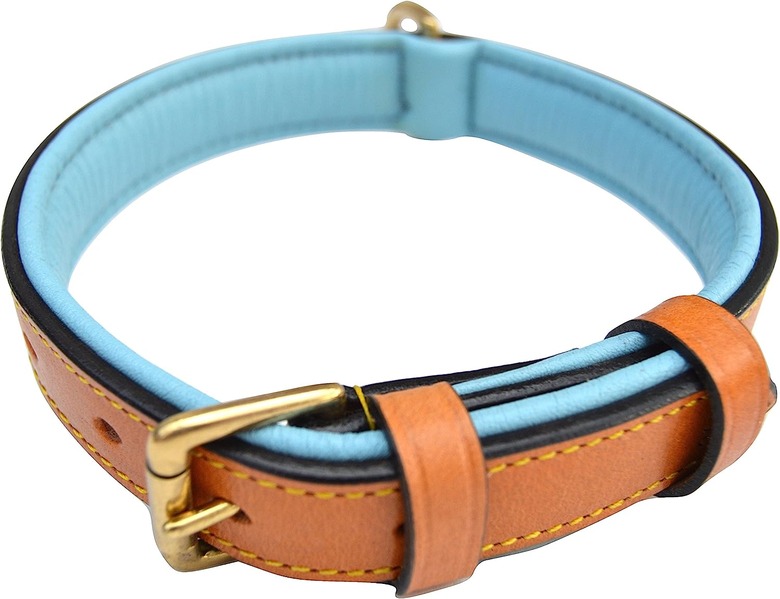 Soft Touch Collars Leather Two-Tone Padded Dog Collar