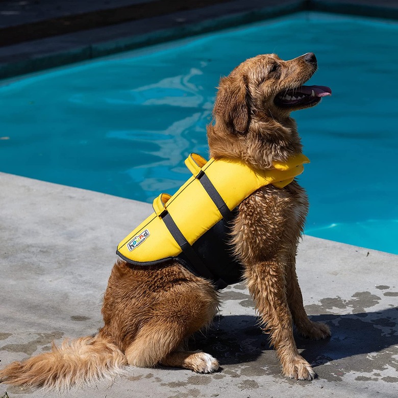 Outward Hound Granby Splash Dog Life Jacket