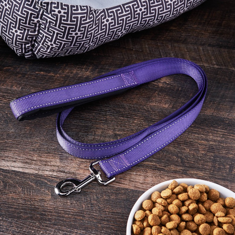 Vibrant Life Reflective Comfort Dog Leash