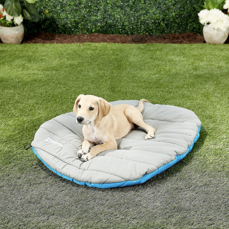 Chuckit! Travel Pillow Dog Bed