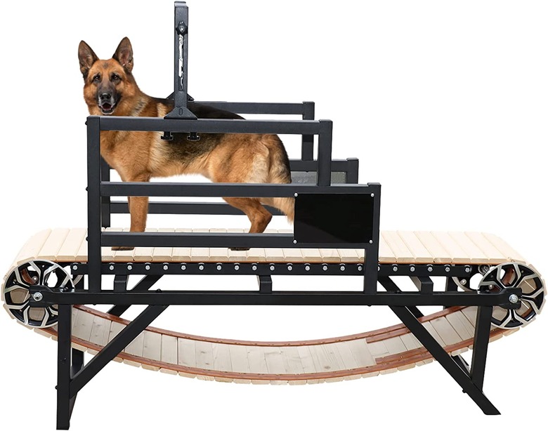 Dog Treadmill for Medium and Large Dogs