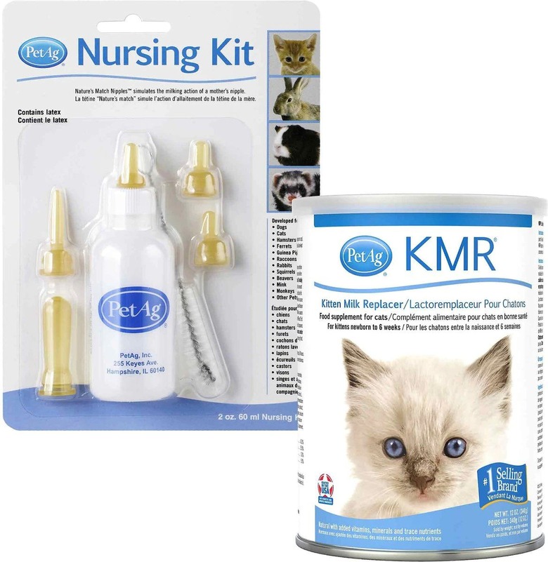 PetAg Complete Nursing Kit + KMR Kitten Milk Replacer Powder