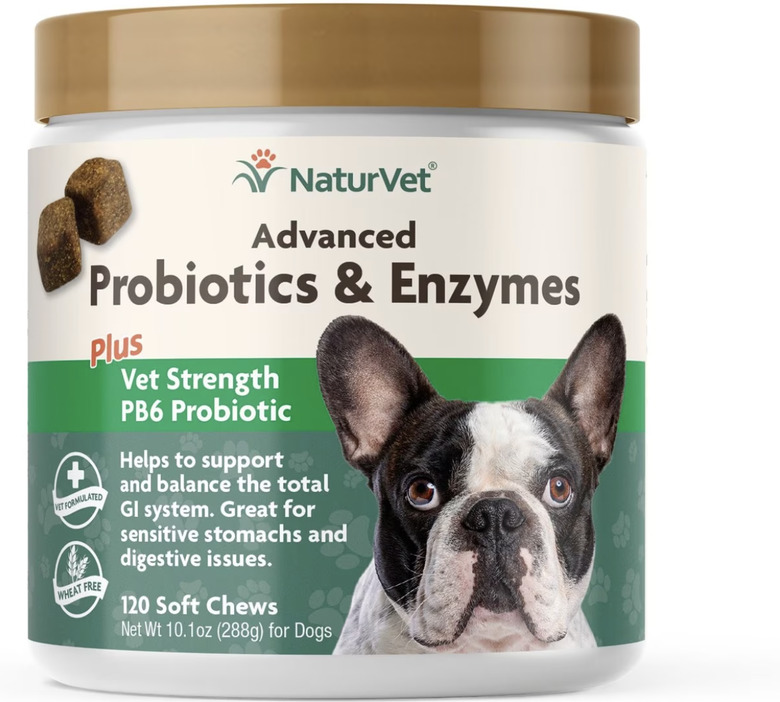 NaturVet Advanced Probiotics & Enzymes Soft Chews for Dogs, 120-Count