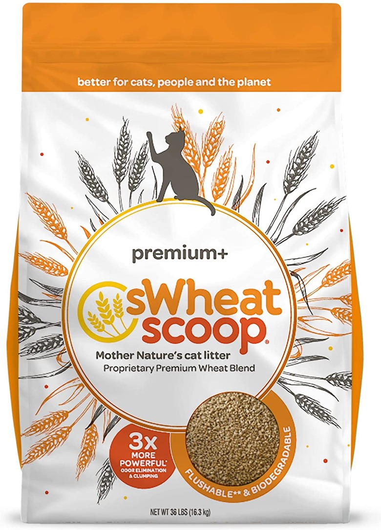 sWheat Scoop Premium+ Unscented Natural Clumping Wheat Cat Litter, 36-lb. Bag