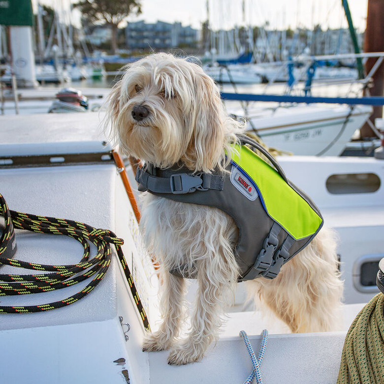 KONG Sport AquaFloat Dog Flotation Vest