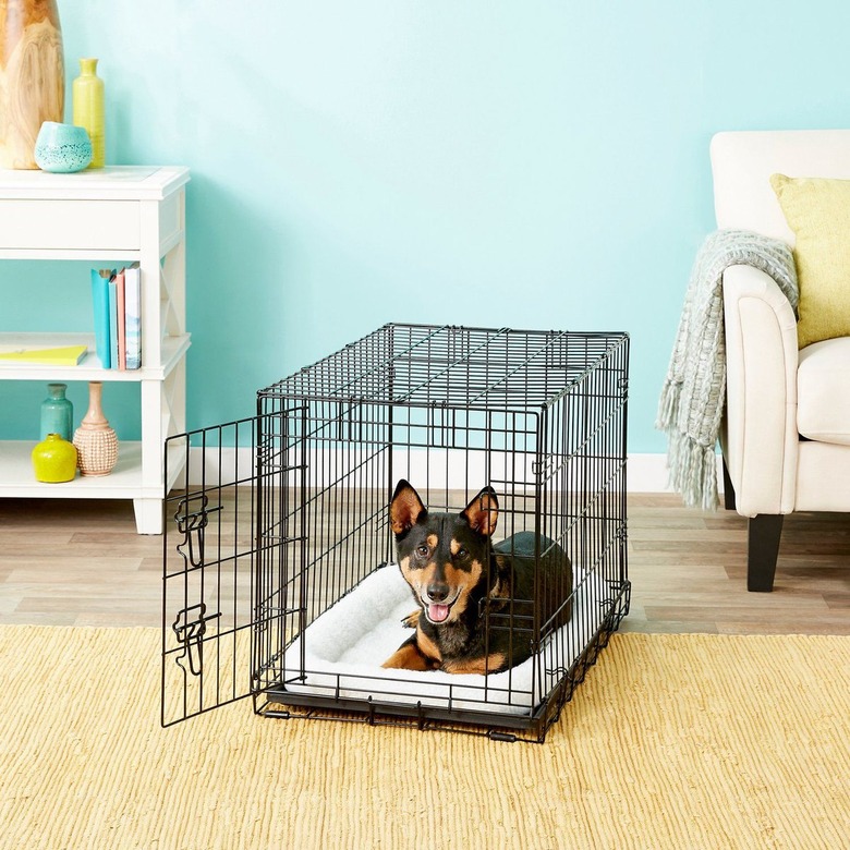 Frisco Fold & Carry Single Door Collapsible Wire Dog Crate