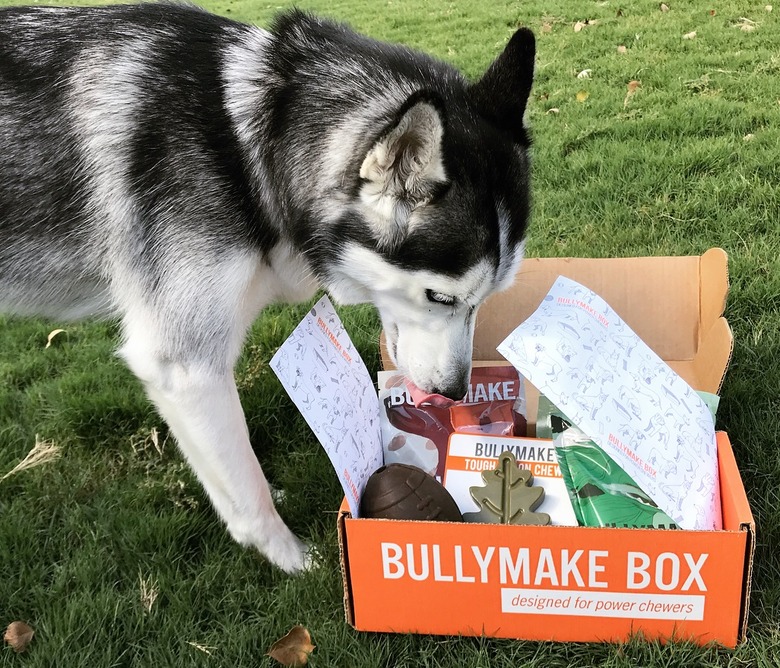 Bullymake Box