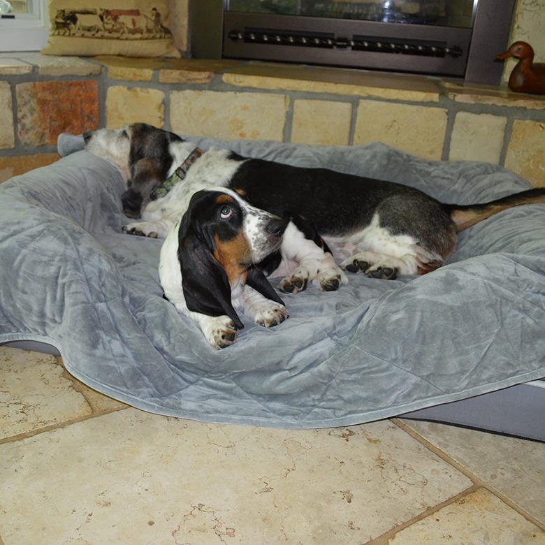 Pet Fusion Premium Pet Blanket