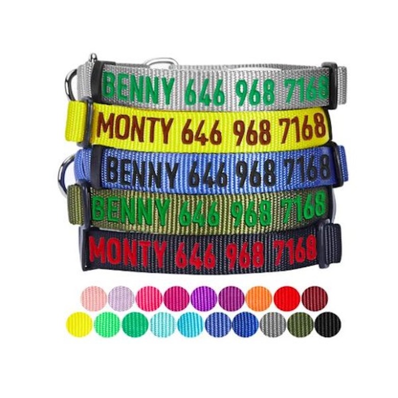 Blueberry Pet Essentials Personalized Martingale Safety Training Dog Collar