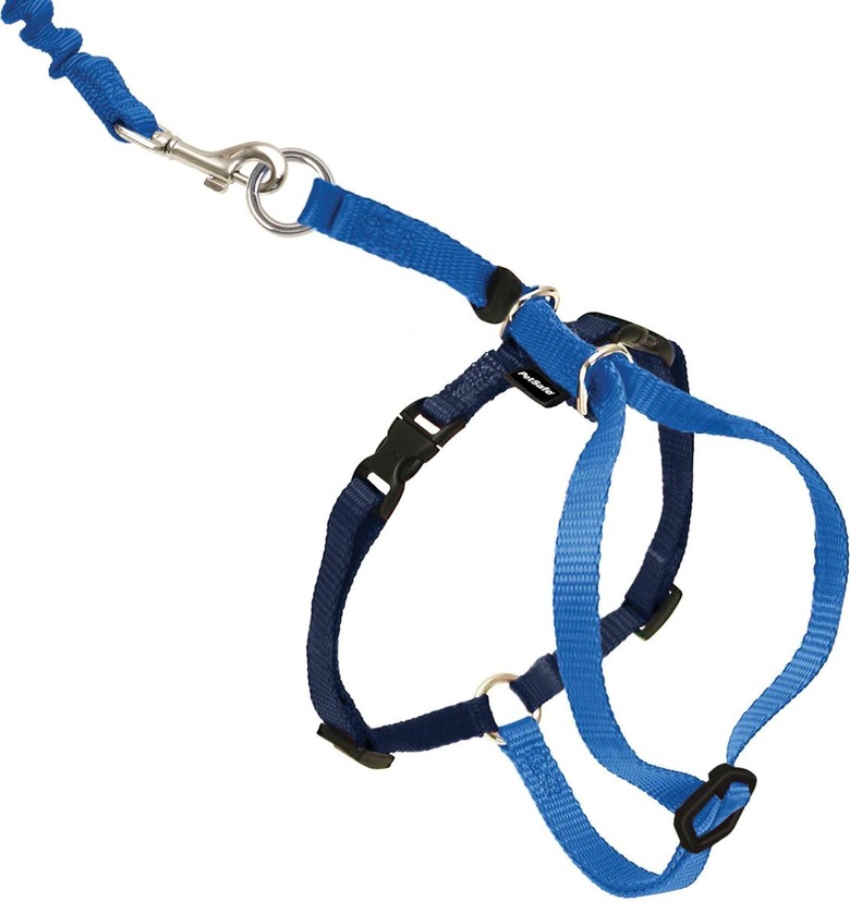 PetSafe Come With Me Kitty Nylon Cat Harness and Bungee Leash