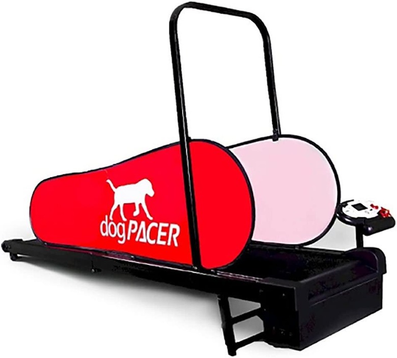 dogPACER Full-Size Dog Pacer Treadmill