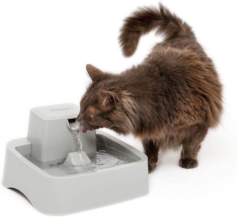 PetSafe Drinkwell Water Fountain, 64-oz.