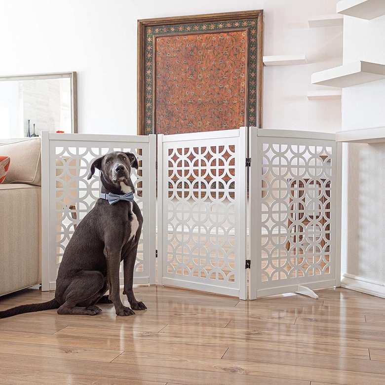 Primetime Petz Palm Springs Designer Gate