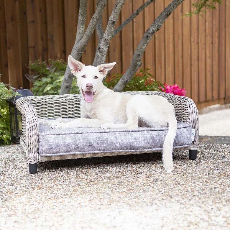 Sunny Indoor/Outdoor Lounger