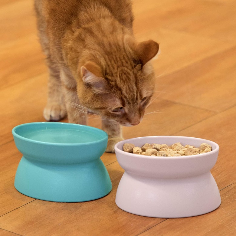 Kitty City Raised Cat Food Bowls, Set of 2