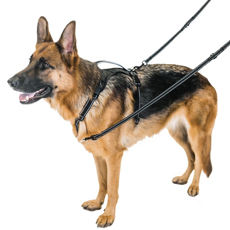 Premier Pet Multi-Functional Leash