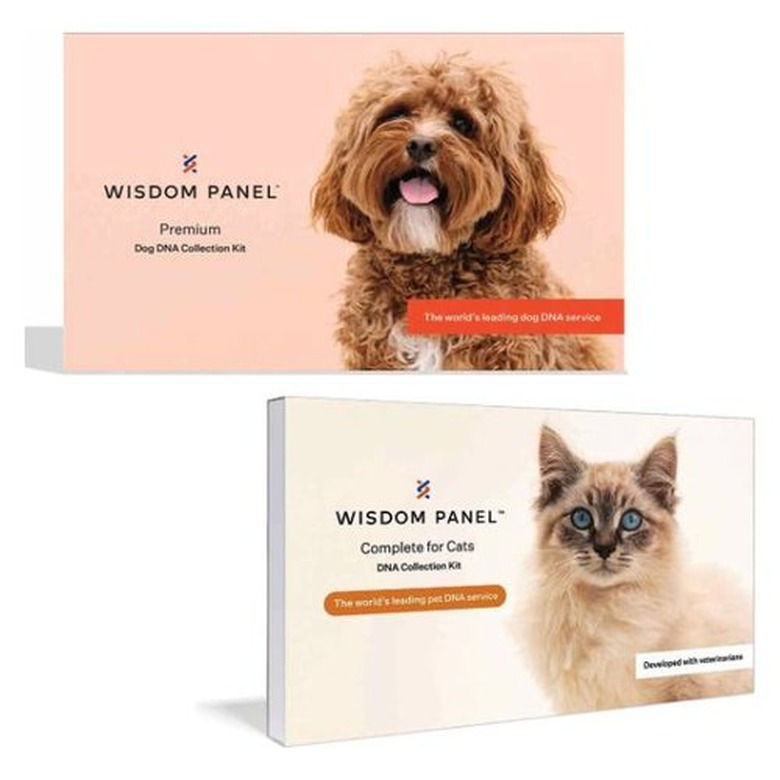 Bundle: Wisdom Panel Premium Breed Identification & Health Condition Identification DNA Test For Dogs + Cat Complete DNA Test