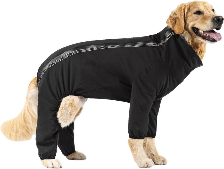 Canada Pooch The Slush Dog Suit