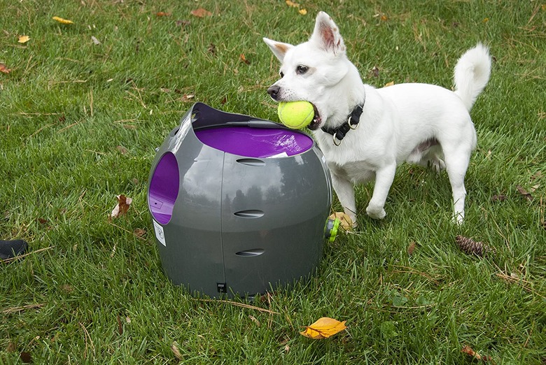 PetSafe Automatic Ball Launcher Dog Toy