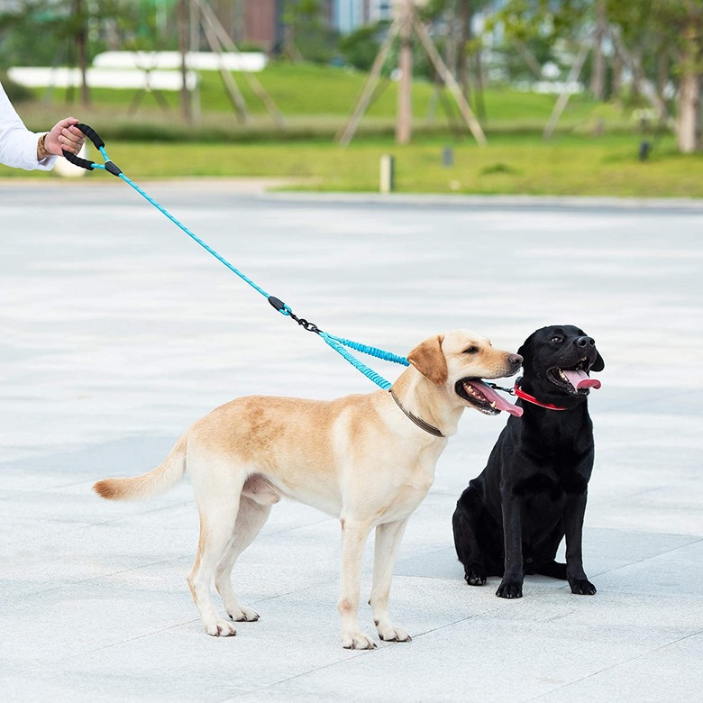 iYoShop Dual Dog Leash