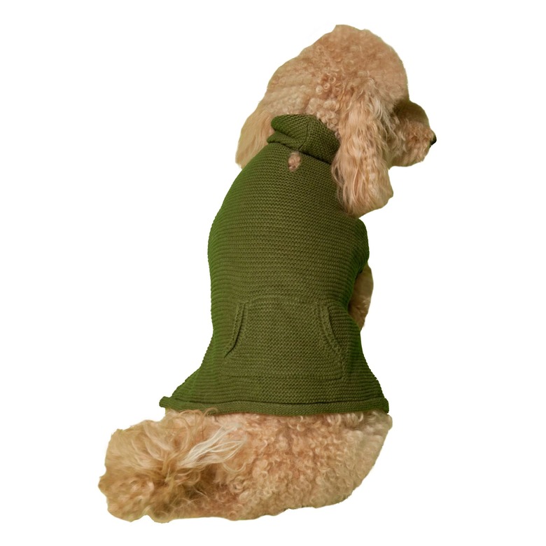 Vibrant Life Fall Forest Green Hood with Pocket Dog Sweater