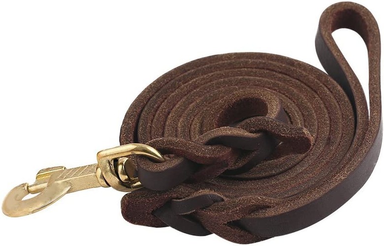 Guiding Star Braided Leather Dog Leash