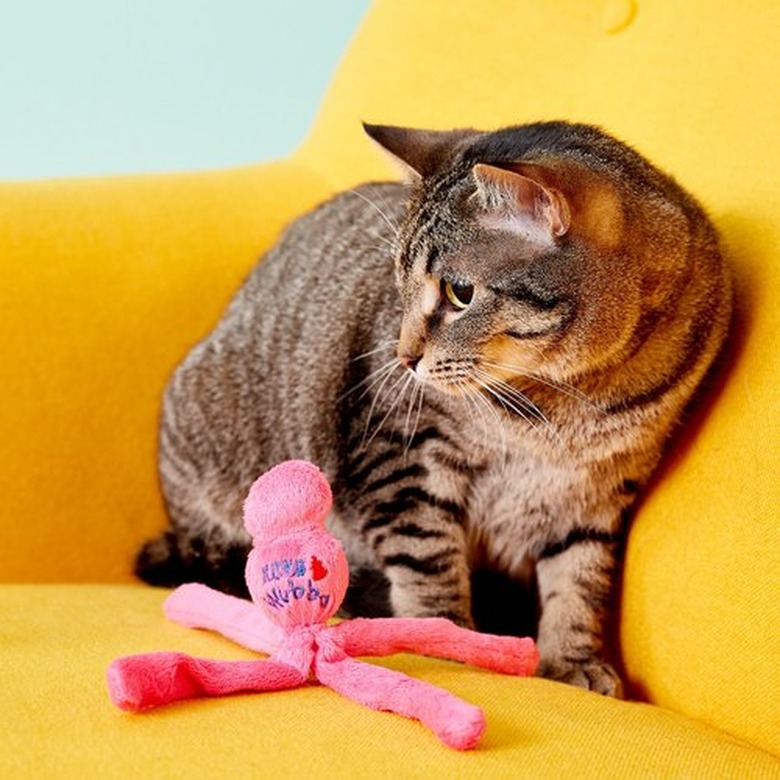 KONG Wubba Cat Toy