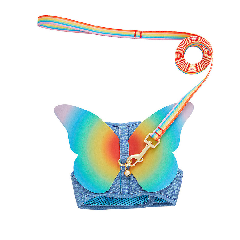 You Are Loved Pride Rainbow Butterfly Cat Leash and Harness Combo