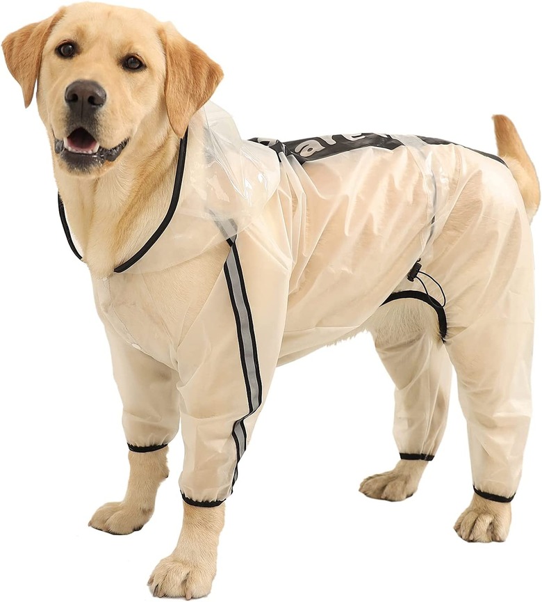 Olsa Dog Raincoat