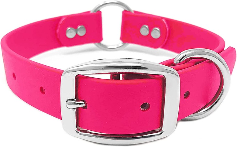 Regal Dog Products Waterproof Collar