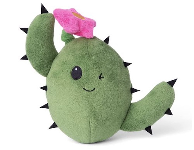 BarkBox 2-in-1 Interactive Cactus Plush Puzzle Dog Enrichment Toys