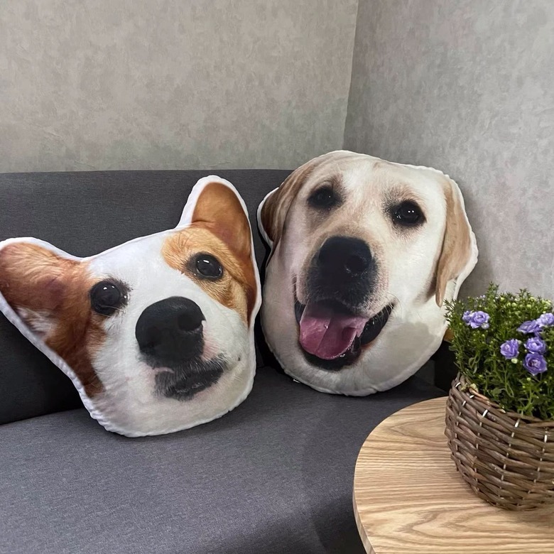 GrapgicDynamics Custom Pet Pillow