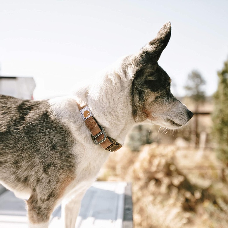 Carhartt Nylon Duck Dog Collar