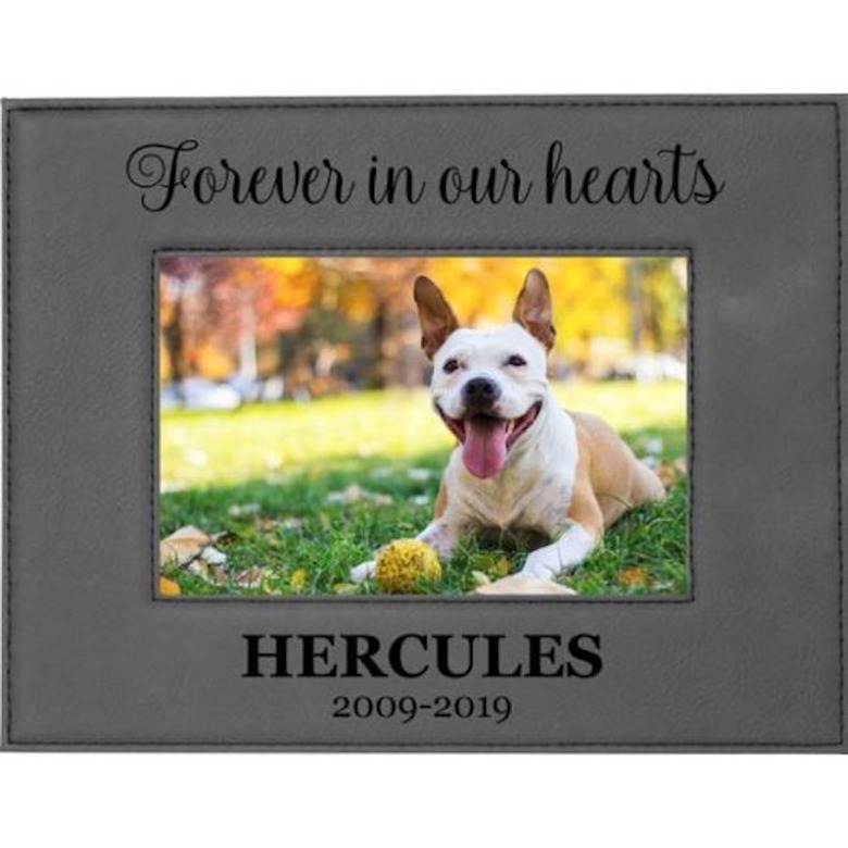 Personalized Forever in Our Hearts Leatherette Pet Memorial Picture Frame