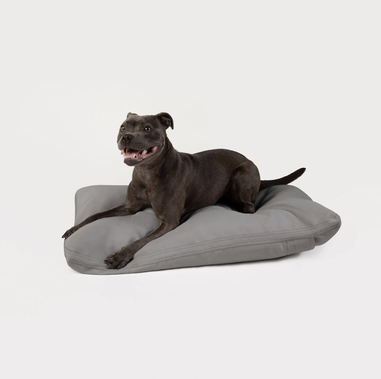 Diggs Pillo Dog Bed