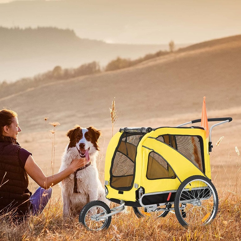 Sepnine and Leonpest Large Bicycle Pet Trailer and Jogger