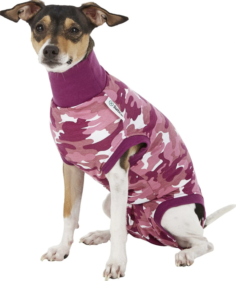 Suitical Recovery Suit for Dogs