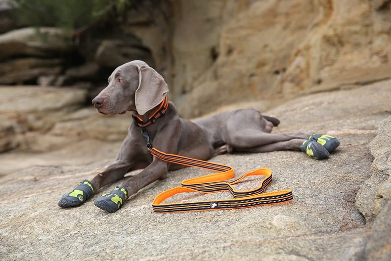 TRUE LOVE Reflective Dog Leash