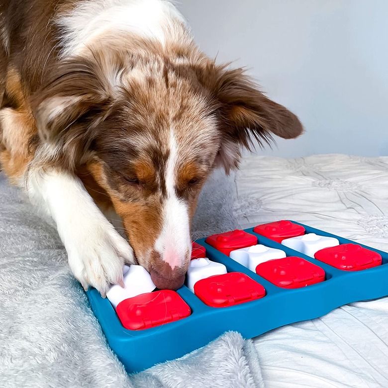 Nina Ottosson by Outward Hound Brick Puzzle Game Dog Toy