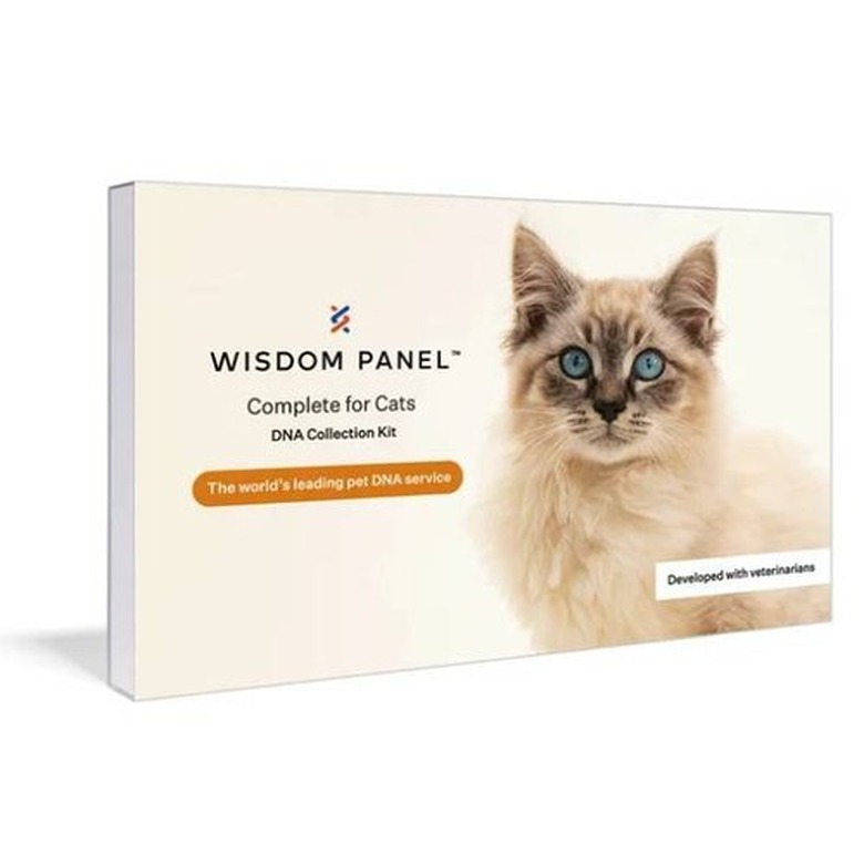 Wisdom Panel Complete Health and Ancestry Cat DNA Test