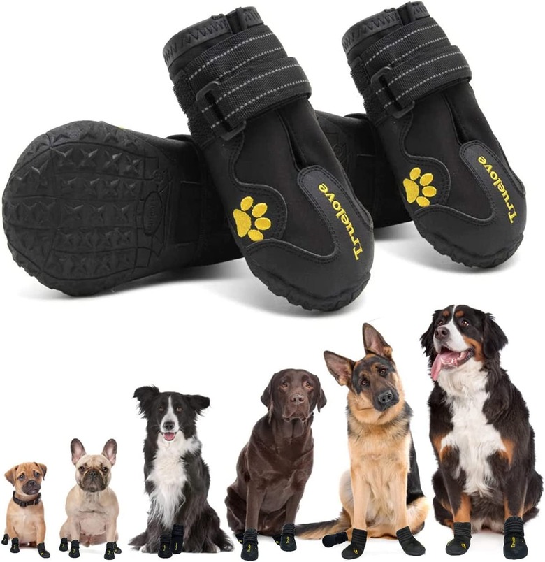 EXPAWLORER Waterproof Dog Boots